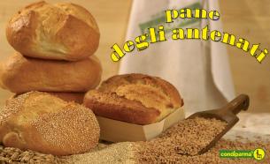 Pane degli antenati
