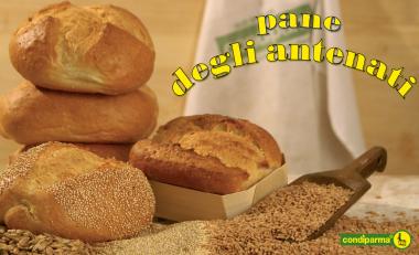 Pane degli antenati
