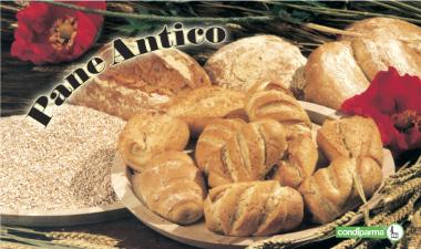 Pane Antico