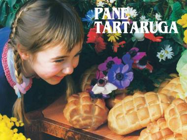 Pan Tartaruga