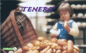 Tenere&rsquo; Burghy