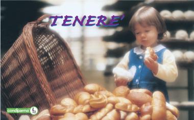 Tenere&rsquo; Burghy